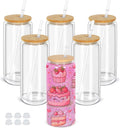 20 oz Plastic Snow Globe Tumbler