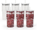 18oz Plastic Snow Globe Tumbler